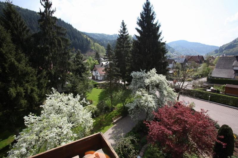 Hotel Garni Cafe Schacher Oberwolfach Buitenkant foto
